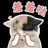 odds on darts final demo slot rumah anjing Chosun Ilbo edisi ke-25 'Ini adalah mantan menteri yang membuatku kehilangan kata-kata'